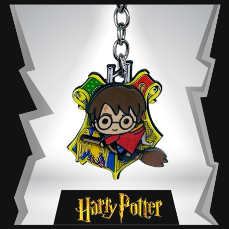 Harry Potter With Nimbus  Metal Spinner   Keychain